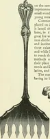 Picture 13 of 83 from The colonial book of the Towle Mfg. Co. Which is intended to delineate and describe some quaint and historic places in Newburyport and vicinity and show the origin and beauty of the colonial pattern of silverware (1898), leaf 11