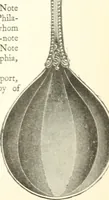Picture 45 of 83 from The colonial book of the Towle Mfg. Co. Which is intended to delineate and describe some quaint and historic places in Newburyport and vicinity and show the origin and beauty of the colonial pattern of silverware (1898), leaf 28