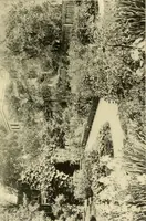 An illustration from Colonial homes and their furnishings (1912)