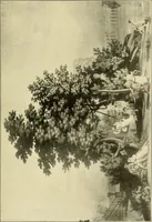 An illustration from Colonial homes and their furnishings (1912)
