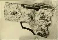 An illustration from Colonial homes and their furnishings (1912)