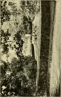 An illustration from Colonial homes and their furnishings (1912)