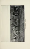 Picture 8 of 11 from A colony in the making, or, Sport and profit in British East Africa (1912), leaf 337