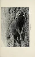 Picture 9 of 11 from A colony in the making, or, Sport and profit in British East Africa (1912), leaf 357