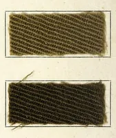 An illustration from Colorants d'unisson sur tissu de laine (1920)
