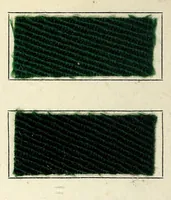 An illustration from Colorants d'unisson sur tissu de laine (1920)