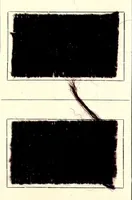 An illustration from Colorants pour la teinture des articles mi-laine (1900)