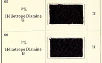 An illustration from Colorants pour la teinture des articles mi-laine (1900)