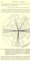 An illustration from Coloration in polistes (1904)
