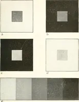 An illustration from Color in everyday life; a manual for lay students, artisaus and artists; the principles of color combination and color arrangement, and their applications in dress, home, business, the theatre and community play (1918)