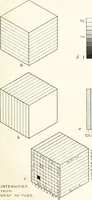 An illustration from Color in everyday life; a manual for lay students, artisaus and artists; the principles of color combination and color arrangement, and their applications in dress, home, business, the theatre and community play (1918)