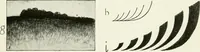 An illustration from Color in everyday life; a manual for lay students, artisaus and artists; the principles of color combination and color arrangement, and their applications in dress, home, business, the theatre and community play (1918)