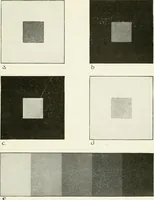 An illustration from Color in everyday life; a manual for lay students, artisaus and artists; the principles of color combination and color arrangement, and their applications in dress, home, business, the theatre and community play (1918)