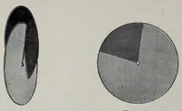 An illustration from Color in the school-room : a manual for teachers (1890)