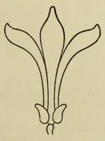 Picture 13 of 14 from Color instruction : suggestions for a course of instruction in color for public schools (1893), leaf 171