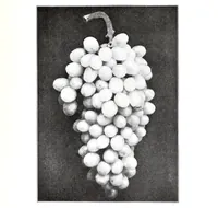Picture 10 of 10 from Color and its application to printing (1911), leaf 129