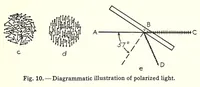 Picture 2 of 16 from Color and its applications (1921), leaf 51
