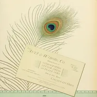An illustration from The color printer. A treatise on the use of colors in typographic printing (1892)