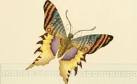 An illustration from The color printer. A treatise on the use of colors in typographic printing (1892)