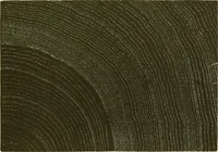 An illustration from The color printer. A treatise on the use of colors in typographic printing (1892)