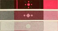 Picture 19 of 70 from The color printer. A treatise on the use of colors in typographic printing (1892), leaf 80