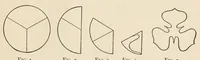 An illustration from Color study : a manual for teachers and students (1896)
