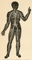 An illustration from Color study : a manual for teachers and students (1896)