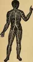 Picture 17 of 21 from Color study : a manual for teachers and students (1895), leaf 73