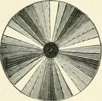 An illustration from Color-vision and color blindness, a practical manual for railroad surgeons (1920)