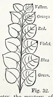 Picture 13 of 13 from Colour (1870), leaf 95