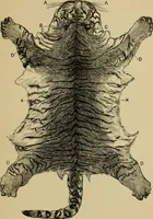 Picture 35 of 47 from Colouration in animals and plants (1886), leaf 150