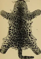 Picture 39 of 47 from Colouration in animals and plants (1886), leaf 156