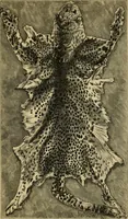 Picture 44 of 47 from Colouration in animals and plants (1886), leaf 164
