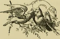An illustration from Colouration in animals and plants (1886)