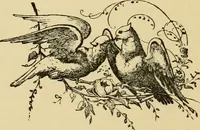 An illustration from Colouration in animals and plants (1886)
