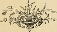 Picture 25 of 44 from Colouration in animals and plants (1886), leaf 122