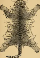 Picture 32 of 44 from Colouration in animals and plants (1886), leaf 152