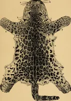 An illustration from Colouration in animals and plants (1886)