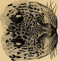 An illustration from Colouration in animals and plants (1886)