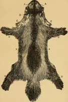 An illustration from Colouration in animals and plants (1886)