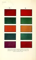 An illustration from Colour decoration of architecture, treating on colour and decoration of the interiors and exteriors of buildings. With historical notices of the art and practice of colour decoration in Italy, France, Germany and England (1913)