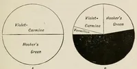 An illustration from Colour : an elementary manual for students (1907)