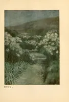An illustration from Colour in my garden (1918)