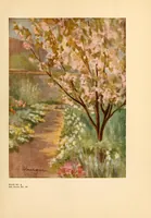 Picture 1 of 7 from Colour in my garden (1918), leaf 55