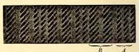 An illustration from Colour in woven design (1890)