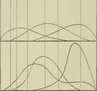An illustration from Colour-matching on textiles : a manual intended for the use of dyers, calico printers, and textile colour chemists, containing coloured frontispiece, twenty-nine illustrations, and fourteen dyed patterns in appendix (1901)