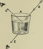 An illustration from Colour-matching on textiles : a manual intended for the use of dyers, calico printers, and textile colour chemists, containing coloured frontispiece, twenty-nine illustrations, and fourteen dyed patterns in appendix (1901)