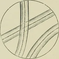 An illustration from Colour-matching on textiles : a manual intended for the use of dyers, calico printers, and textile colour chemists, containing coloured frontispiece, twenty-nine illustrations, and fourteen dyed patterns in appendix (1901)