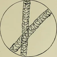 An illustration from Colour-matching on textiles : a manual intended for the use of dyers, calico printers, and textile colour chemists, containing coloured frontispiece, twenty-nine illustrations, and fourteen dyed patterns in appendix (1901)