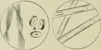 An illustration from Colour-matching on textiles : a manual intended for the use of dyers, calico printers, and textile colour chemists, containing coloured frontispiece, twenty-nine illustrations, and fourteen dyed patterns in appendix (1901)
